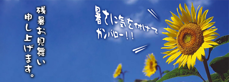 残暑見舞い